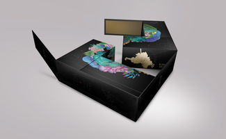 匠心融汇，数字赋能——桐木关红茶的品牌包装设计与软件开发一体化提案